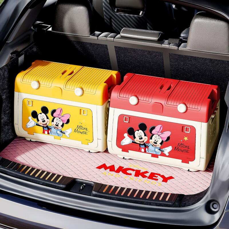 Outdoor Camping Fire - Disney originele geautoriseerde opbergbox voor buiten